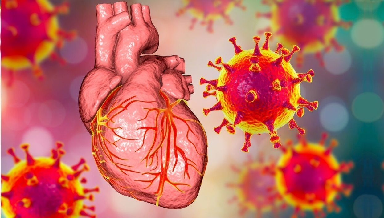 Nouvelle étude : les vaccins Covid augmentent de 25 % le risque d&rsquo;arrêt cardiaque chez les jeunes