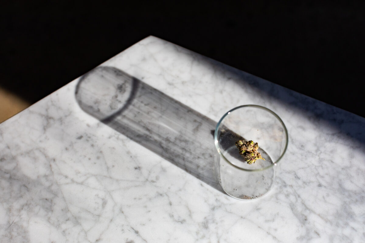 Les preuves des bienfaits du cannabis pour soulager les douleurs sont faibles malgré la popularité de son usage médical et récréatif