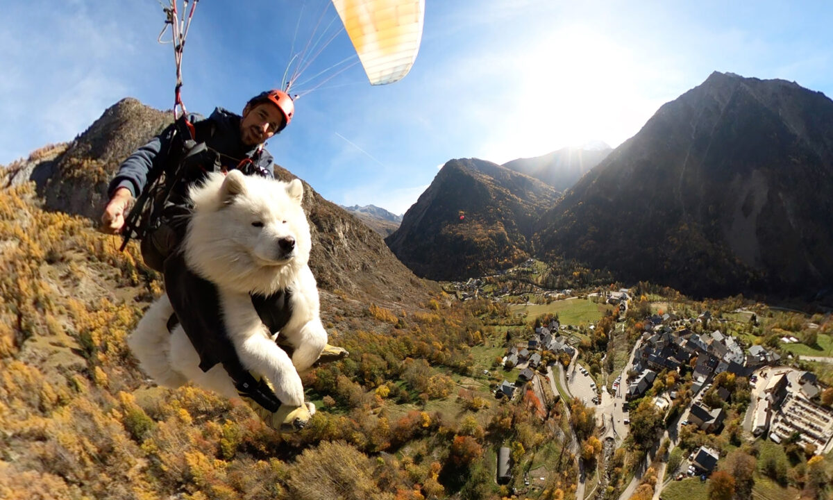 [VIDÉO] Dans le sud de la France, les aventures en parapente d&rsquo;un chien intrépide avec son maître