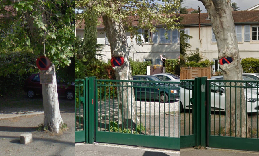 Lyon: depuis 10 ans, cet arbre «avale» un panneau de signalisation, l&rsquo;évolution année après année est impressionnante