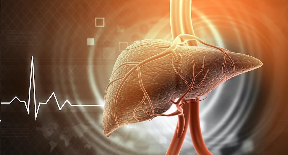 4 façons de stimuler la fonction de détoxification du foie