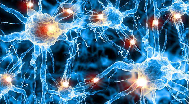 Le ressentiment, une toxine qui donne des rides et accélère le vieillissement