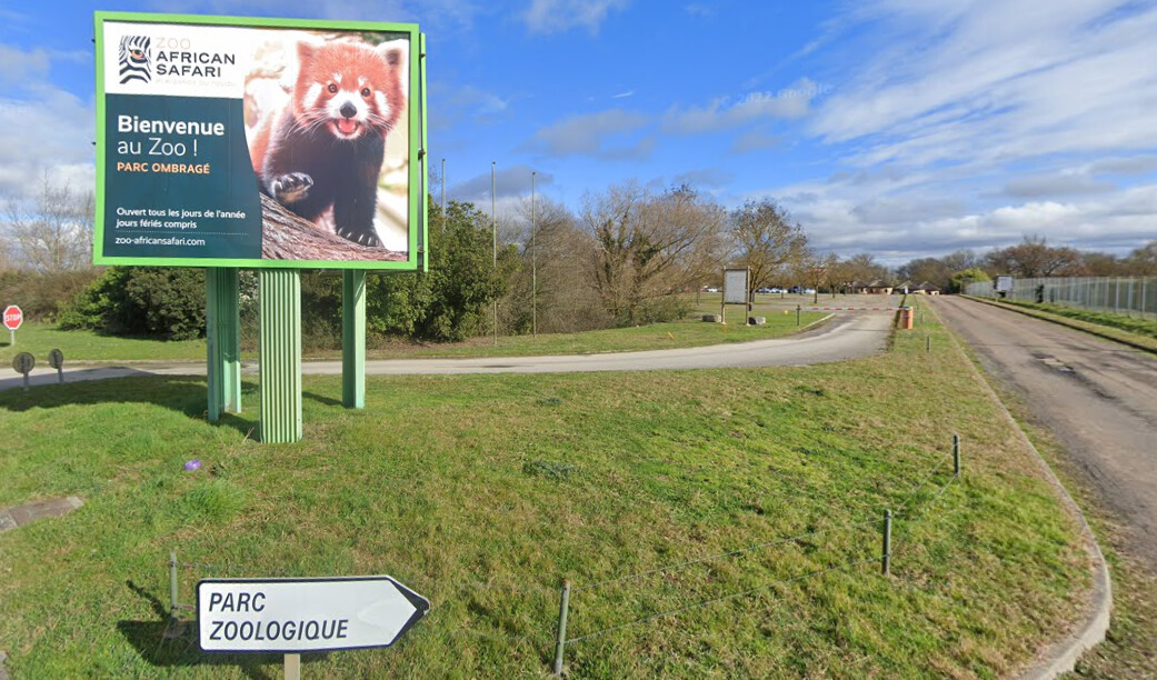 Les animaux du zoo African près de Toulouse sauvés de l’incendie grâce à l’intervention rapide des pompiers et du personnel