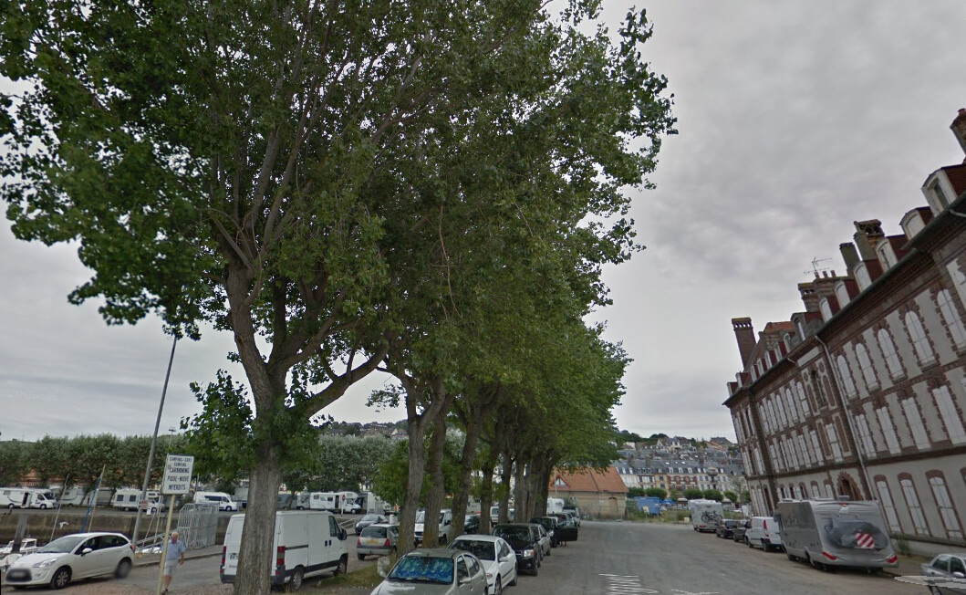 Quelques manifestants arrivent à stopper l&rsquo;abattage de dix arbres à Deauville