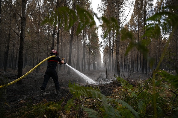 Incendies: le gérant d&rsquo;un parc animalier à Landiras a choisi de rester avec ses animaux et de ne pas les évacuer