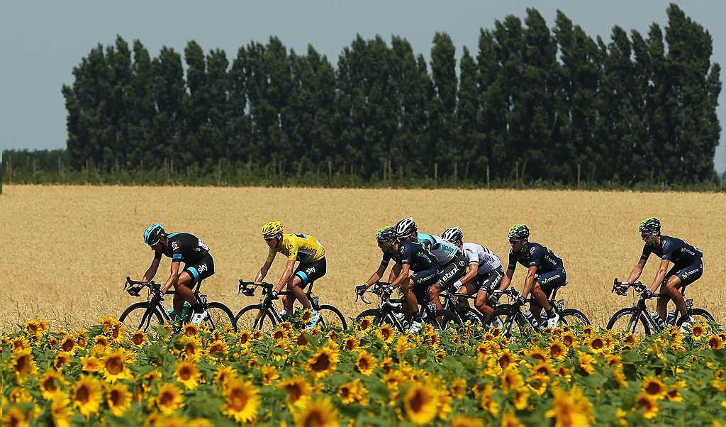 20 vétérinaires participent à un défi à vélo afin de financer des chiens guides pour des enfants déficients visuels