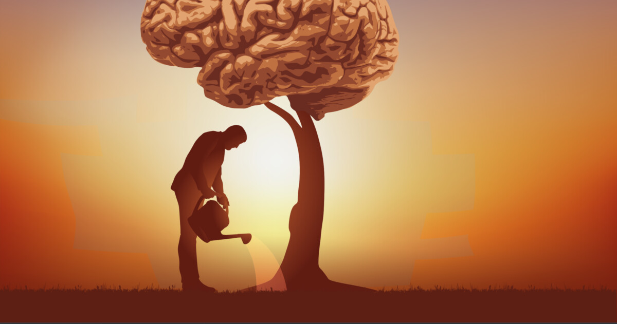 Éliminer le brouillard cérébral en soignant les intestins