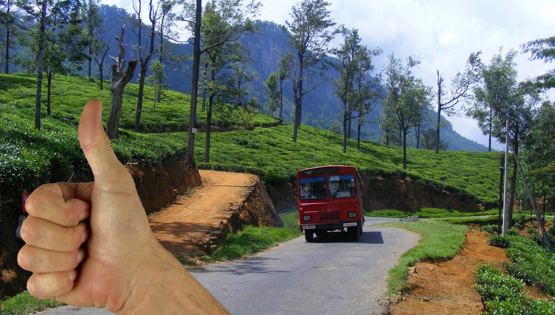 À 89 ans, elle part à en auto-stop avec son petit-fils et parcourt 480 km pour une première aventure