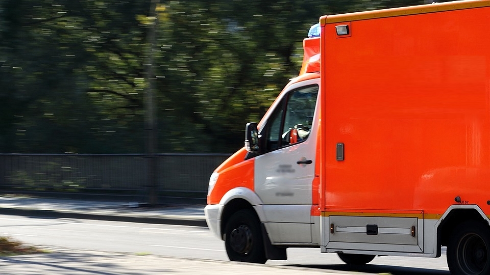Un enfant de 10 ans meurt écrasé par un arbre lors d&rsquo;une balade à vélo