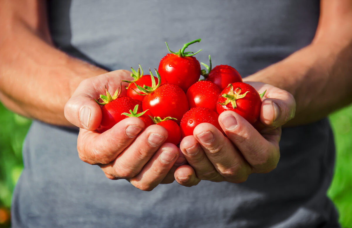 13 conseils pour avoir un mode de vie et une alimentation qui renforcent la prostate