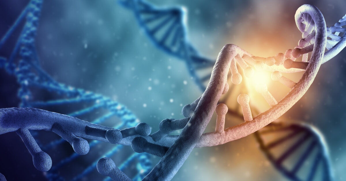 Après une transplantation d’organe les receveurs acquièrent certaines caractéristiques des donneurs – Pourquoi?