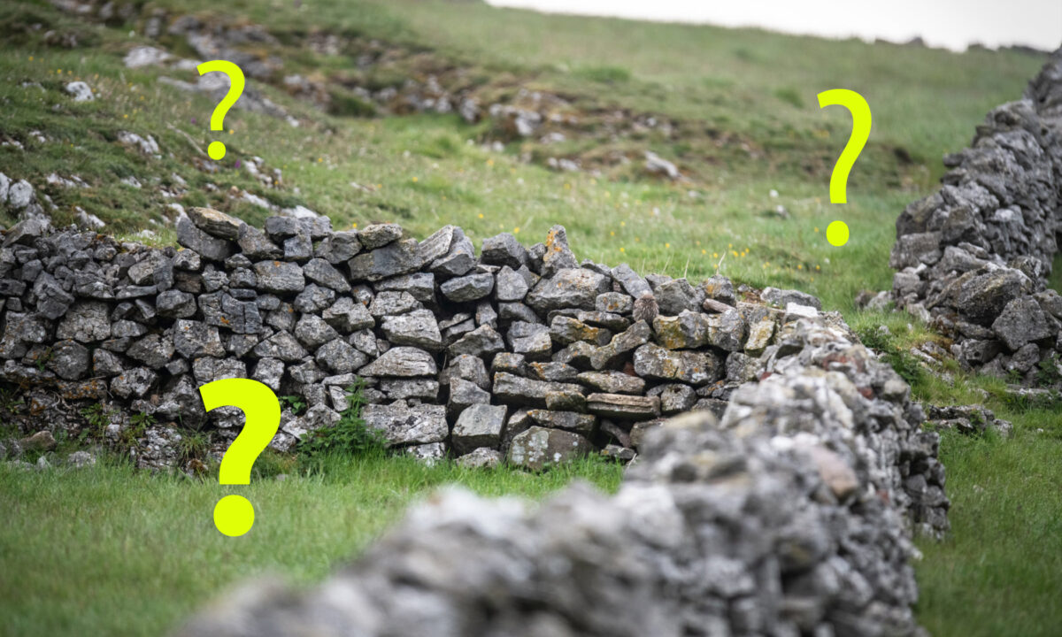 Pouvez-vous repérer les hiboux parfaitement camouflés dans les amas rocheux sur ces photos? Combien pouvez-vous en voir?