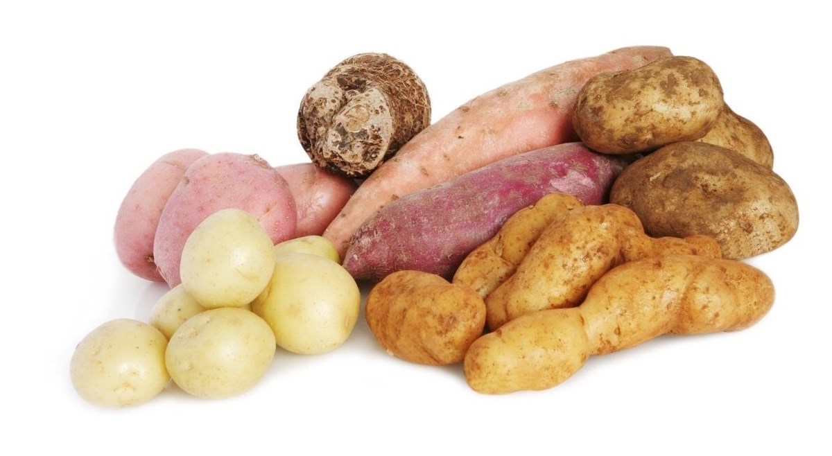 10 féculents recommandés pour favoriser la perte de poids