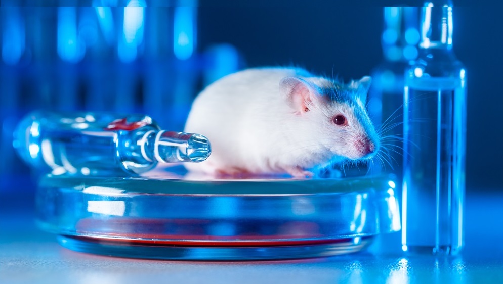 La sécurité de centaines de millions de personnes dépend des données de 8 souris ? Au moins un risque majeur des rappels ne peut être ignoré