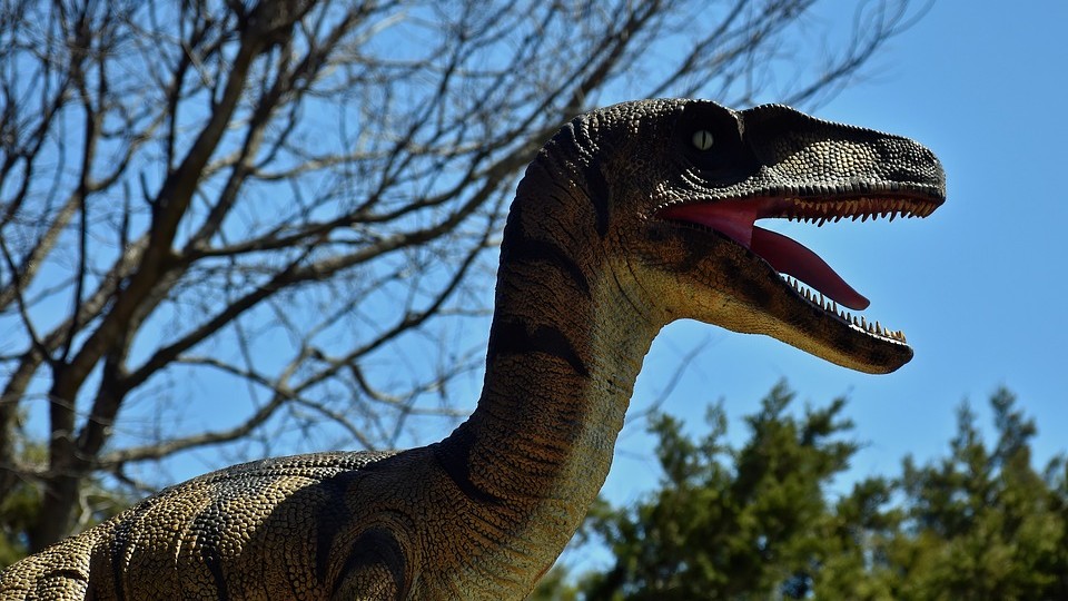 Record du monde : ils parcourent 1050km à vélo en dessinant un dinosaure avec le tracé GPS