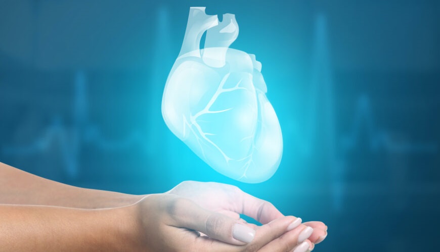 Les nouvelles méthodes de transplantation d&rsquo;organes soulèvent des questions urgentes