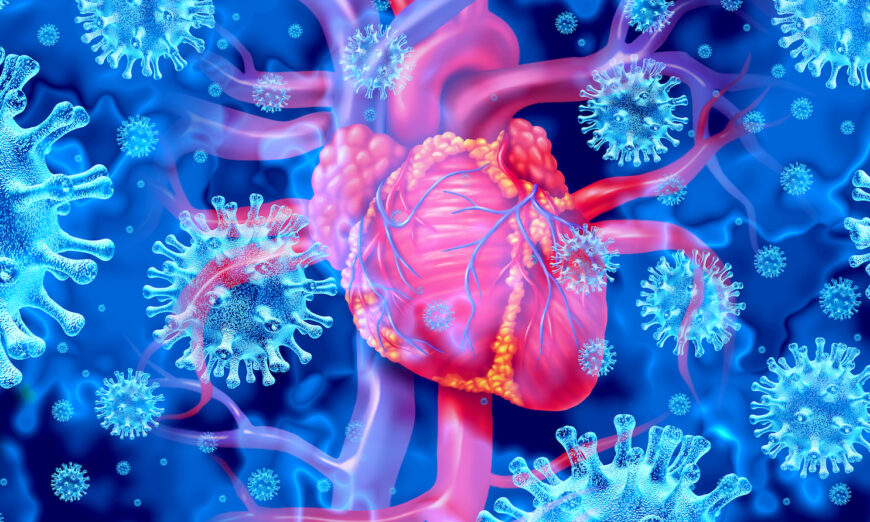 Des cardiologues renommés arrivent aux mêmes conclusions quant aux effets secondaires des vaccins Covid-19