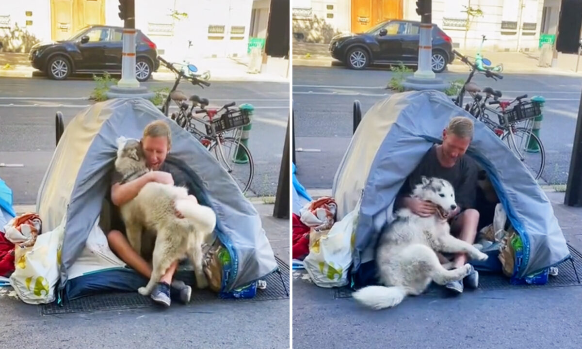 [VIDÉO] Grâce à l’insistance d’un husky, un sans-abri à Paris voit sa vie prendre un nouveau tournant