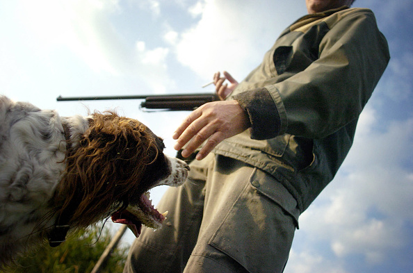 Aux États-Unis, un chien tue par balle un chasseur