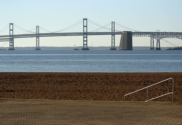 Un crâne fossile de baleine vieux de 12 millions d&rsquo;années découvert dans l&rsquo;État américain du Maryland