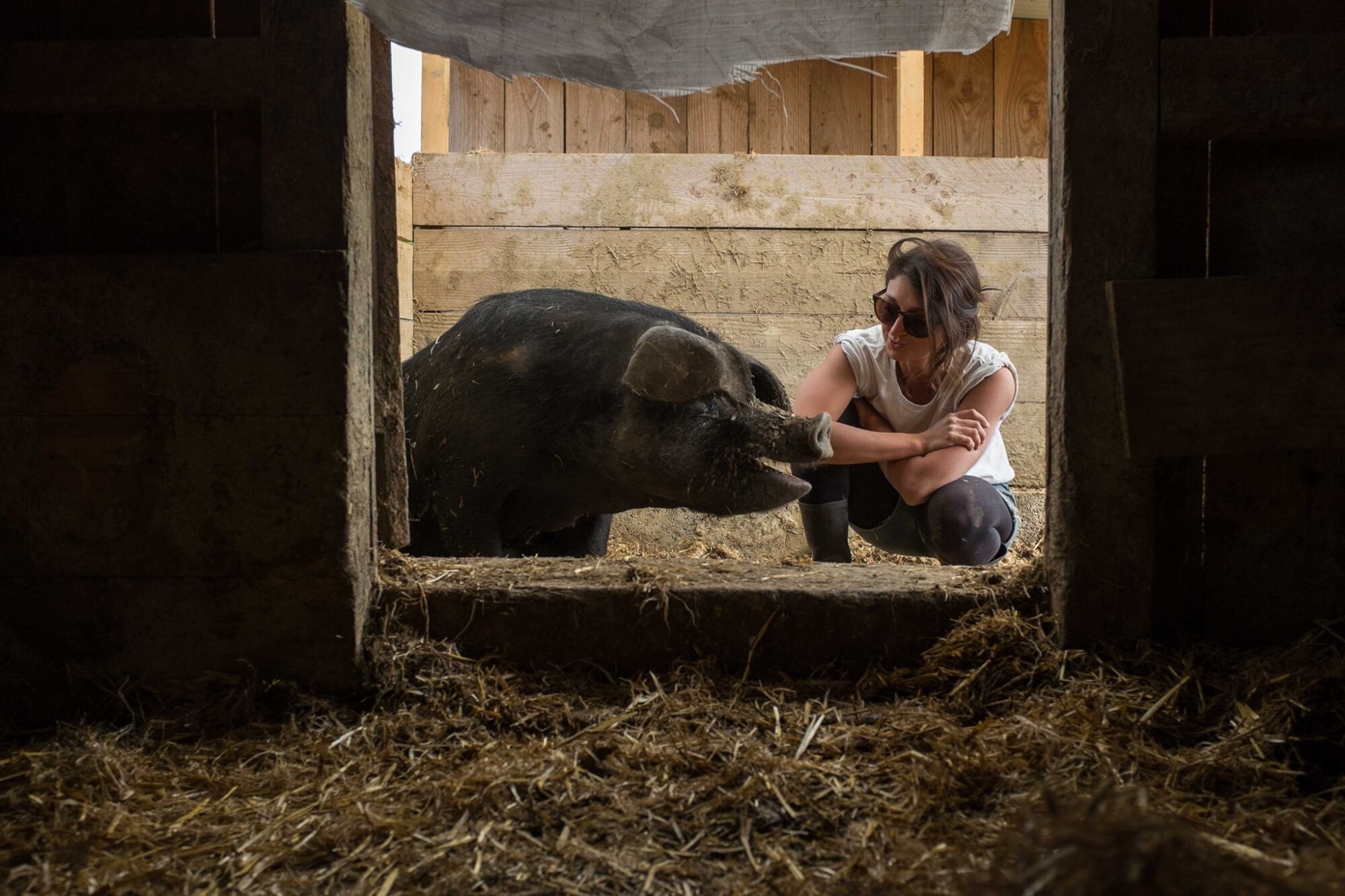 Diplômée de Sciences Po puis consultante à l’autre bout du monde, elle devient éleveuse de porcs