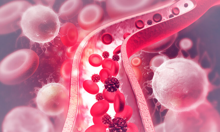 Mangez ces aliments pour faire mourir de faim les cellules cancéreuses