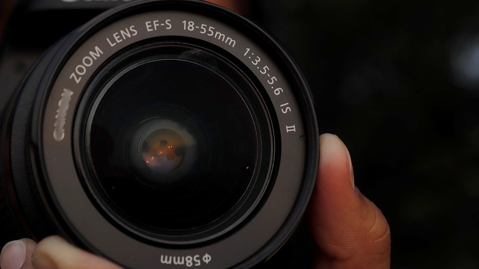 Une photo exceptionnelle et rare capturée par un photographe en Dordogne