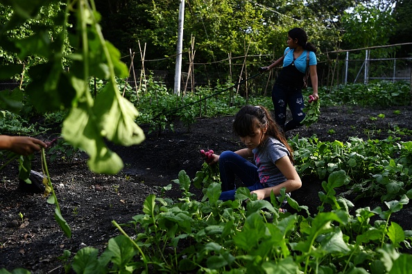 Paris: ce collège remplace les heures de colle par des heures de jardinage