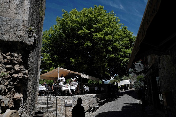 Les arbres pourraient réduire d&rsquo;un tiers la mortalité liée aux canicules urbaines, selon une étude