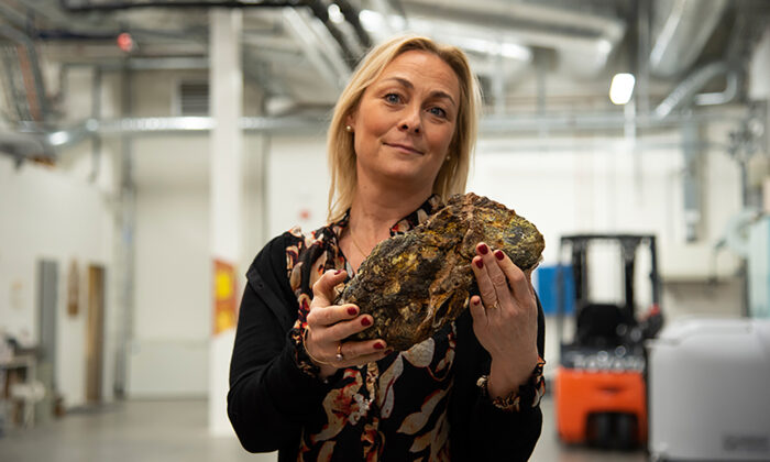 La Norvège découvre un gisement de terres rares qui pourrait rendre l’Europe moins dépendante de la Chine