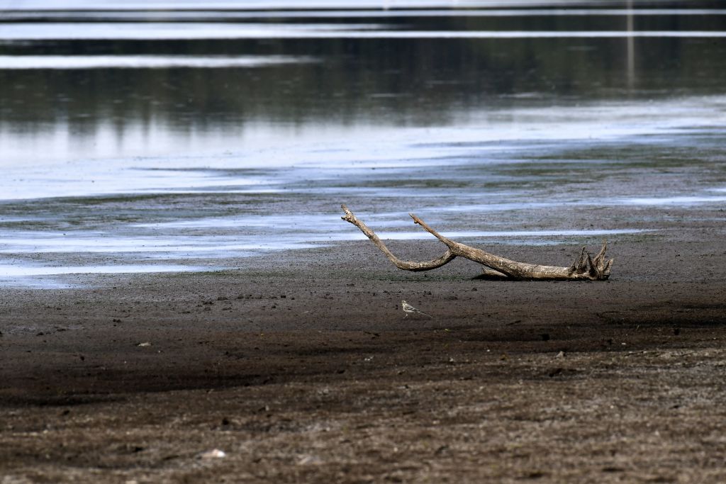 Sécheresse: les nappes phréatiques françaises sont dans une situation préoccupante