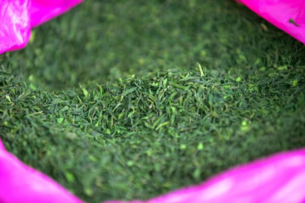 Démantèlement d’un trafic de khat: neuf personnes mises en examen, dont trois incarcérées