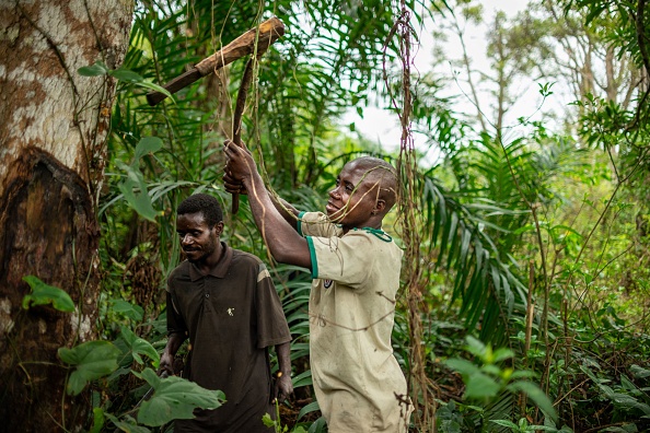 «One Forest Summit»: à Libreville, la protection des forêts ne doit pas occulter les droits humains