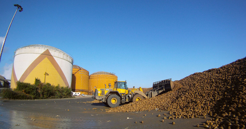 Crise de la betterave: le sucrier Tereos va fermer deux usines en France