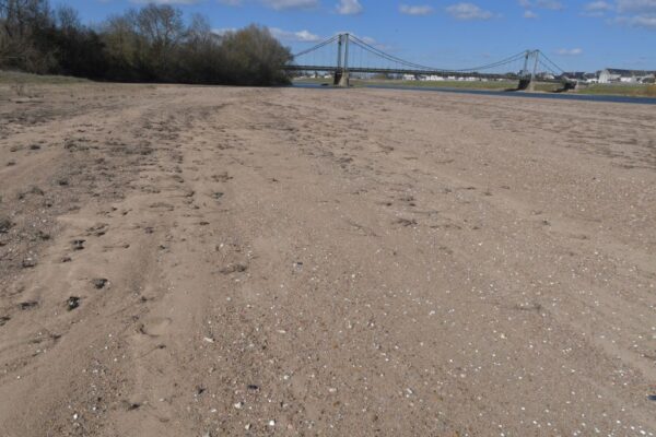 Sécheresse: les nappes phréatiques françaises sont dans une situation préoccupante