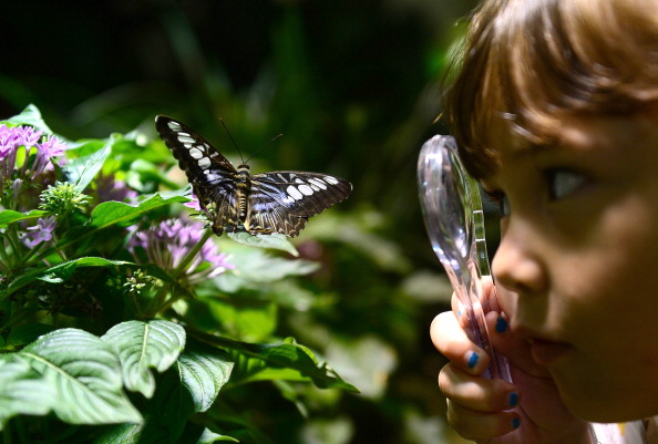 Avec la classe en plein air, l’école change de regard sur les questions d’environnement