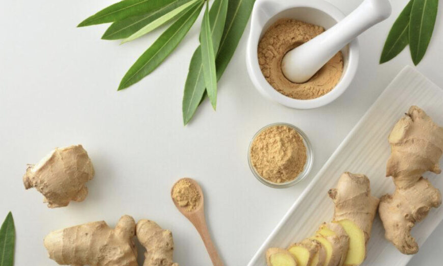 Le gingembre freine le vieillissement du cerveau et soulage l&rsquo;organisme