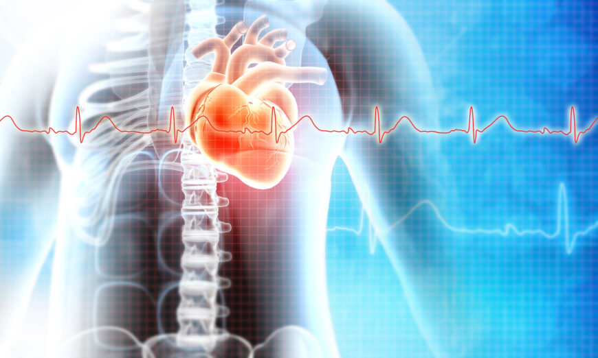 L&rsquo;hormonothérapie transgenre peut augmenter les risques d&rsquo;accident vasculaire cérébral et de crise cardiaque, selon une étude