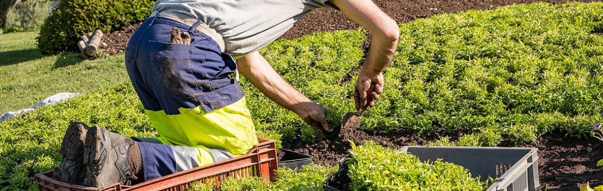Pesticides: un jardinier municipal atteint de Parkinson obtient gain de cause en justice