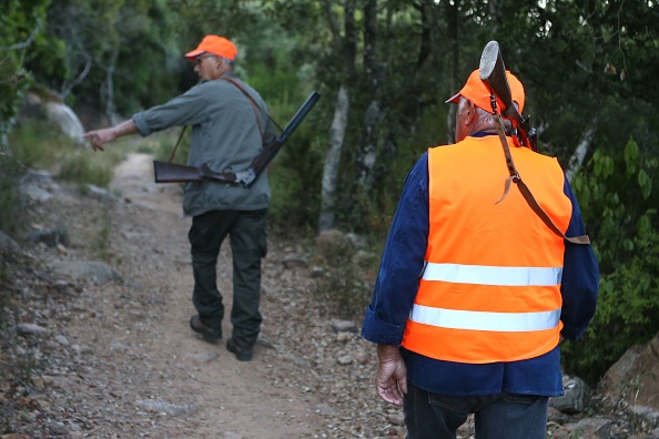 Fin de la chasse le dimanche après-midi dans une commune des Vosges