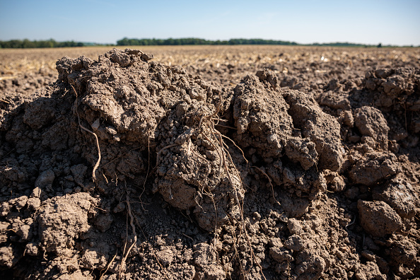 Pourquoi les sols méritent toute notre attention