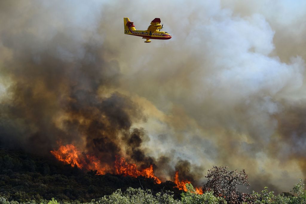 Pyrénées-Orientales: près de 700 ha de végétation parcourus par un incendie