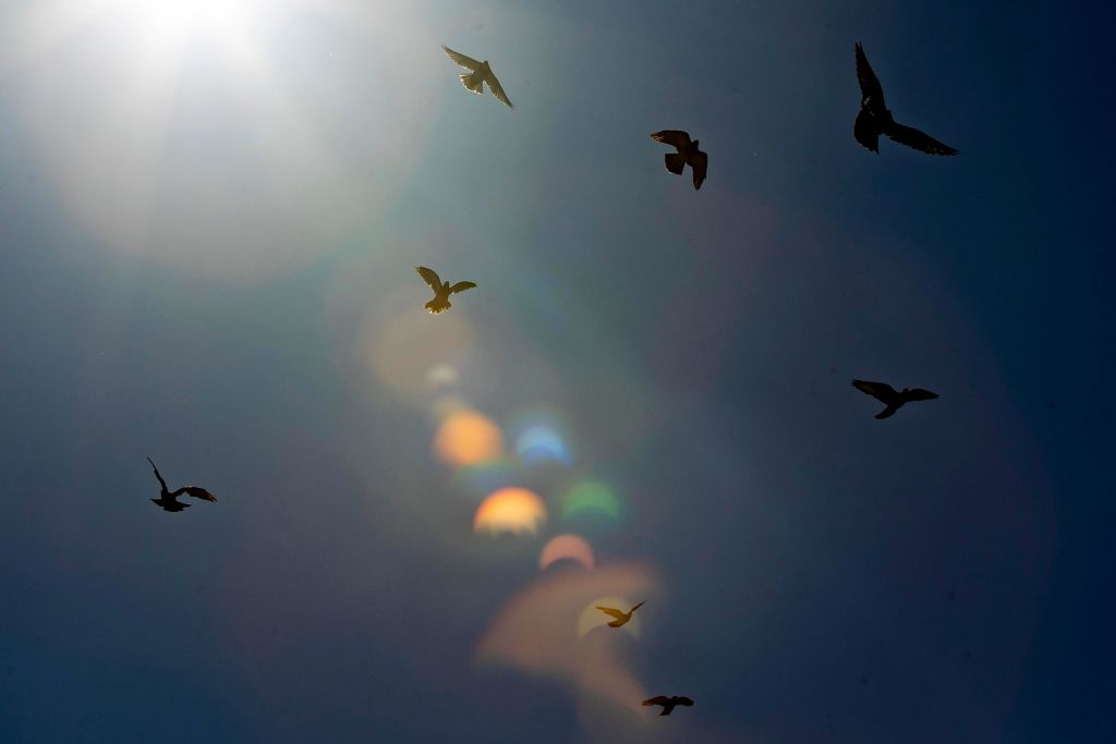 Sondage: la foi religieuse recule en France avec 44% de croyants