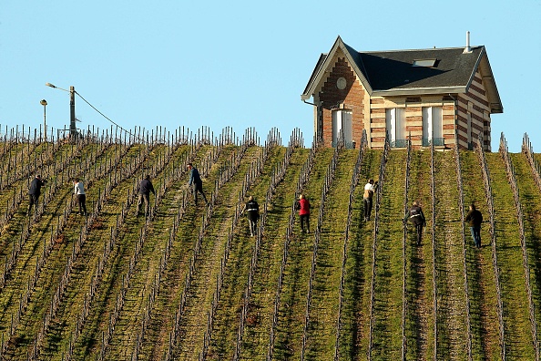 «Zéro artificialisation nette»: le Sénat met la pression sur le gouvernement