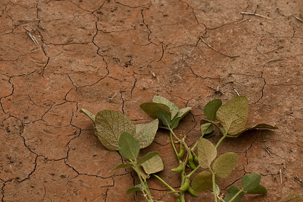 Les maires des Pyrénées-Orientales s&rsquo;organisent pour économiser l&rsquo;eau