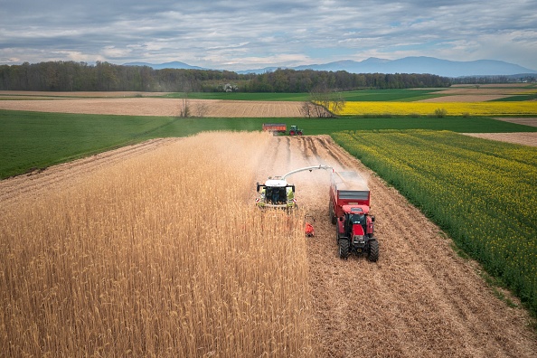 Alsace: une commune se chauffe avec une plante