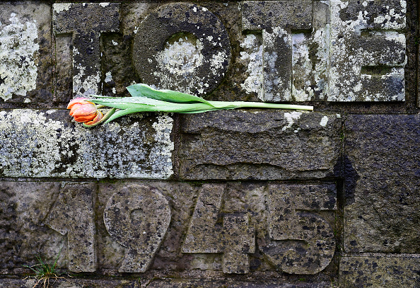 Des tulipes au menu: de la survie pendant la guerre à la gastronomie contemporaine