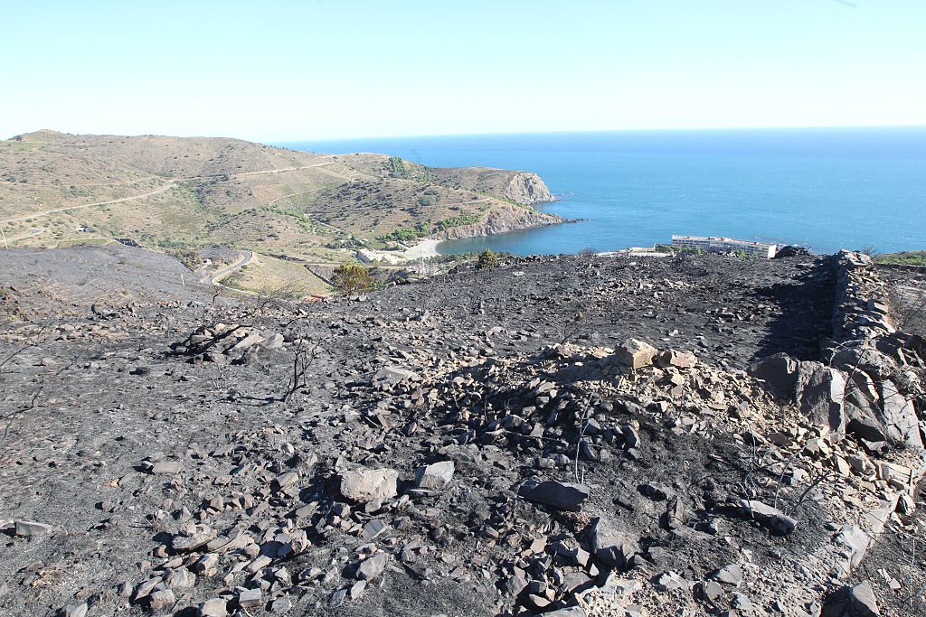 Le premier grand incendie de l&rsquo;année maîtrisé, 930 hectares parcourus