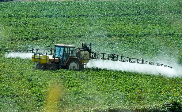 Interdits en UE, des insecticides et herbicides encore à l’origine d’intoxications en France