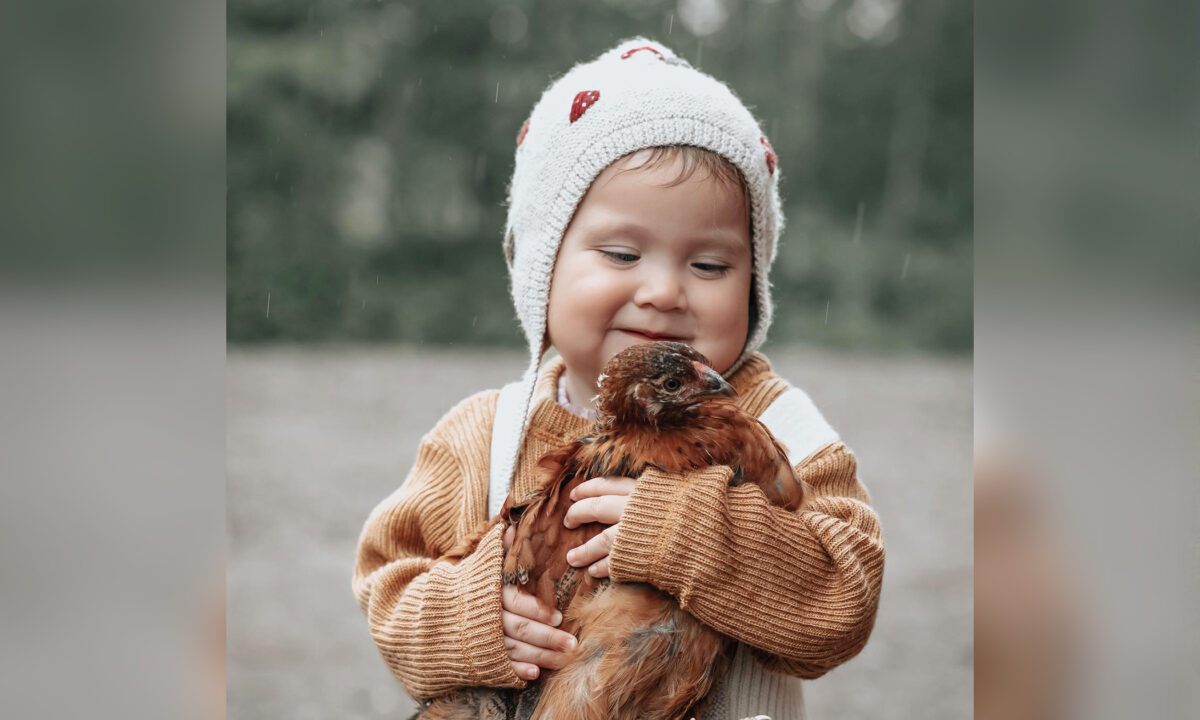Un bébé partage un lien spécial avec des poussins : « Elle aime la nature »